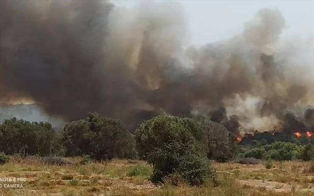 Ανεξέλεγκτη η φωτιά στη Ρόδο: Στη μάχη από τα ξημερώματα εναέρια μέσα - Εκκενώθηκαν πέντε χωριά